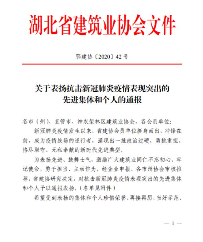 喜讯!我司荣获2020武汉民营企业100 强称号