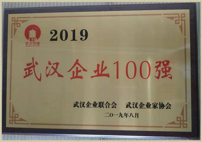 喜讯!公司荣获“2019武汉企业100强”称号